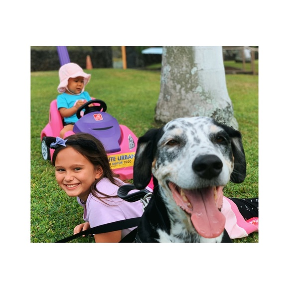 𝑩𝒆𝑯𝒂𝒘𝒂𝒊𝒊 🤙 𝒊𝒔 𝑳𝑰𝑽𝑬 ❤️ 𝑷𝑶𝑺𝑯 𝑺𝑯𝑶𝑾 - BeHawaii is LIVE - Picture 12 of 17